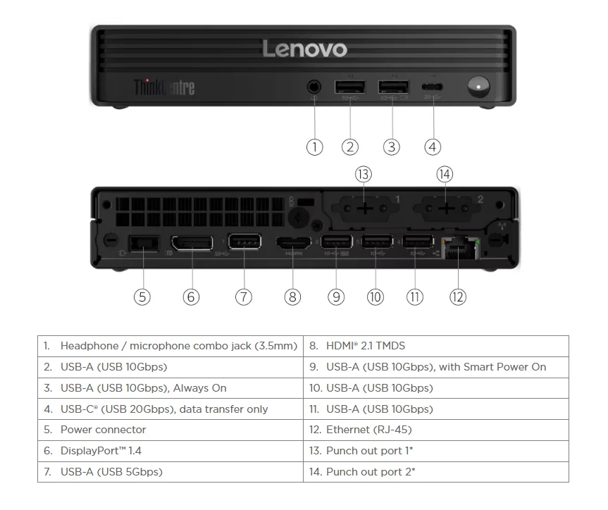 Input Image